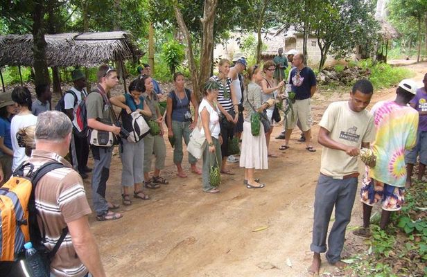 3 hours Spice Tour in Tanzania