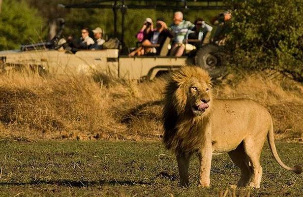 Five-Day Hwange NP, Chobe NP and Victoria Falls Combo
