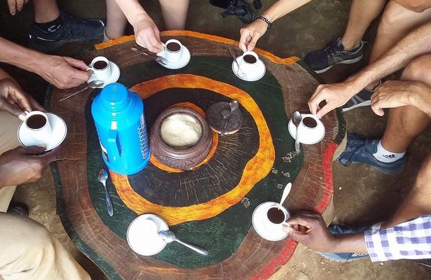 Private Materuni Waterfall & Coffee Tour.