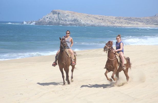 Cabo White Sand Horseback Riding Tour and Tequila Tasting