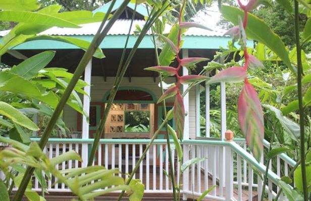 Private Art Tour or Food Tour