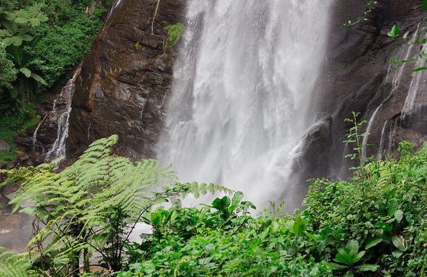 Day trip tour to Hululu Waterfalls