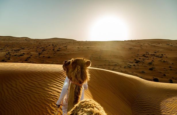 Wahiba Sands&Wadi Bani Khalid desert Safari(Muscat tours) :Outdoor activity