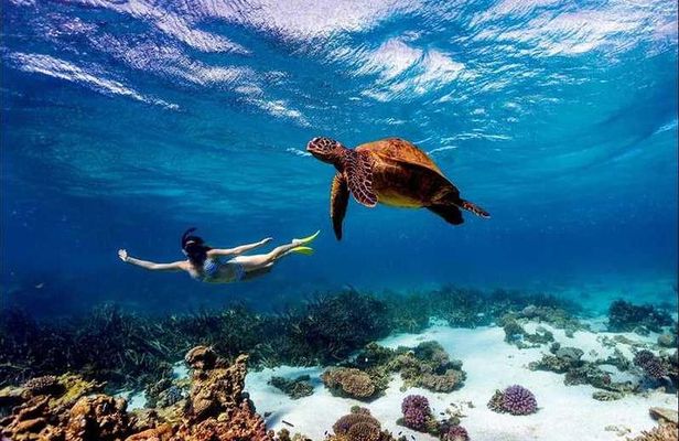 4 Days Diani Beach Holiday Package with SGR Train ( minimum 2 persons)