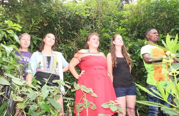 Boat cruise and adventures -Karongi