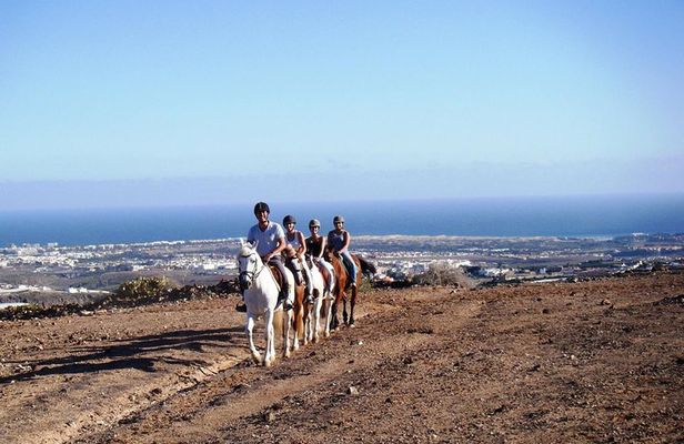 The Best Horse Riding Experience in Gran Canaria (2 hours)