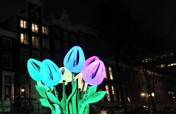 Light Festival Tour by Sebi Boat Tours