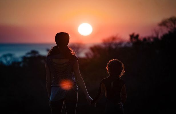 Unique Turtle Sanctuary & Sunset Experience