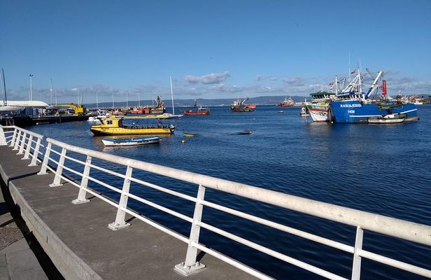 Tour around the Port of Talcahuano