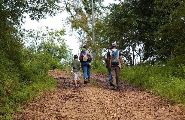 Birding Hike: Day Birdwatching in Kathmandu