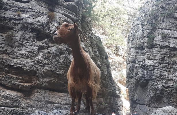 Explore IMBROS GORGE.
