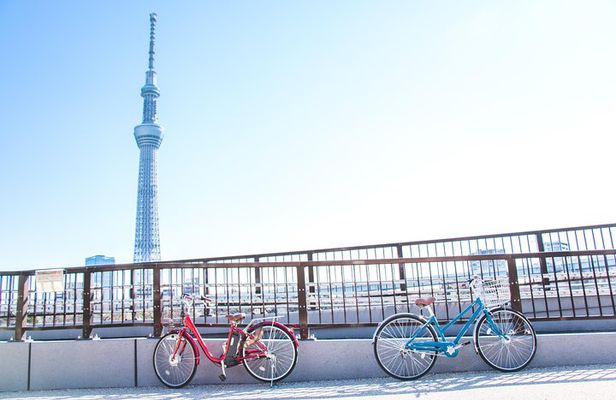 [electric bicycle tour]: 6-hour travel course by electric bicycle Asakusa, Ueno Park, Edo-Tokyo Museum, and Sky Tree. (There is a support car.)