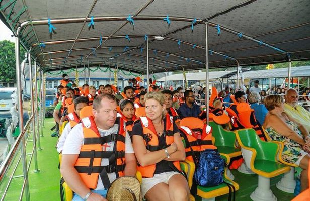 Whales and Dolphins Watching-Luxury Super Grade Cruiser(Hotel Pick up offered)