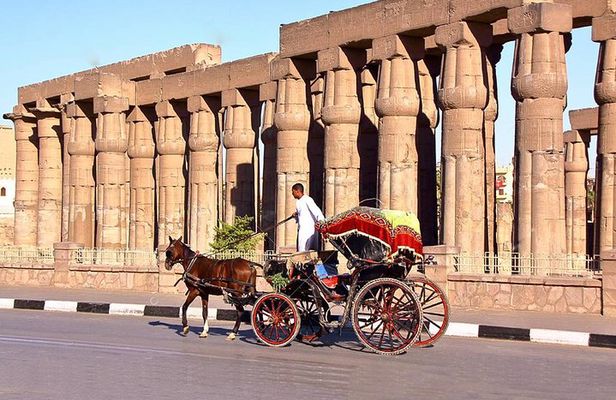 3-Hour Private Luxor Horse Carriage City Tour
