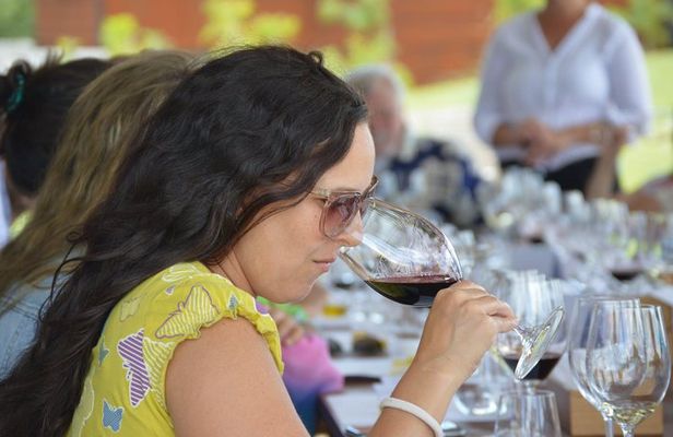 Private Wine Tours by Wine Explorers Uruguay