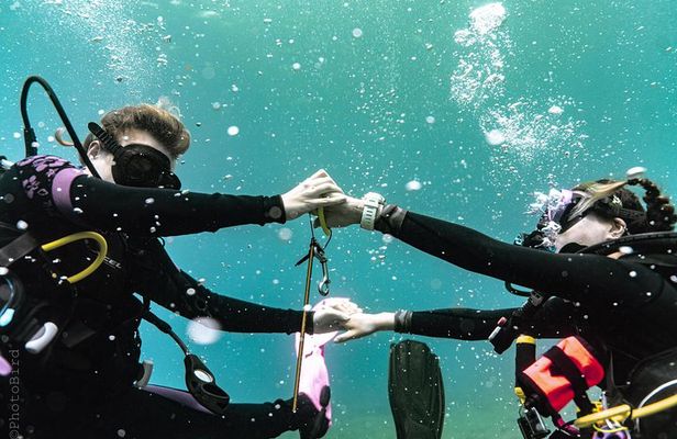 2 Tank Private SCUBA Party Diving Charter from Waikiki Hawaii