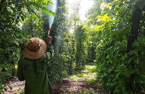 Cooking, Farming and Waterfall In Vietnam Countryside