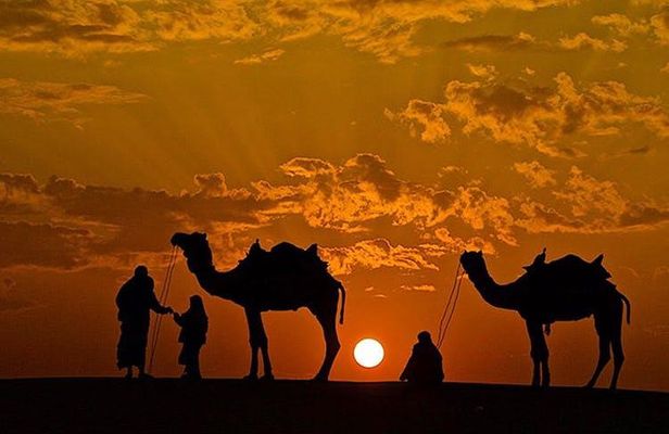 Overnight Camel Safari with Camping