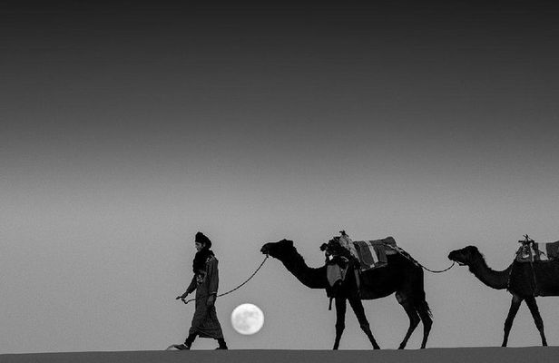 Shared 3 days tour From Marrakesh to Fes via Merzouga desert