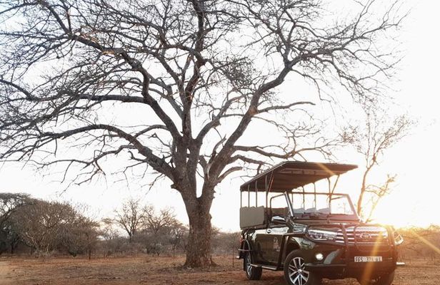 Full Day Kruger National Park