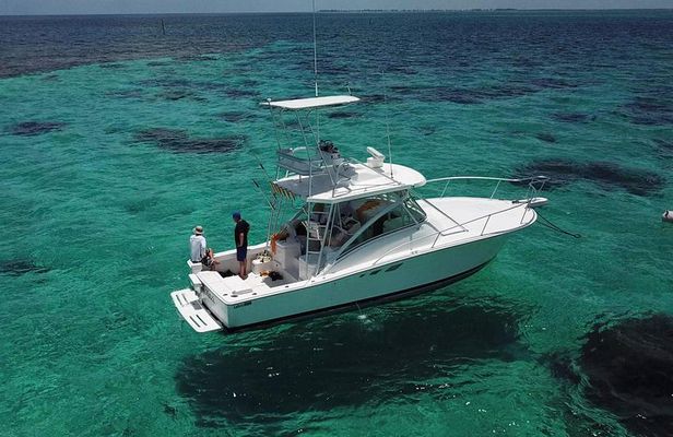 Private Charter 34ft Express Cruiser Stingay City Reef Snorkeling