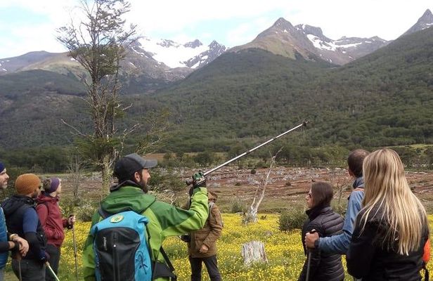 Trekking to Vinciguerra Glacier and Laguna de los Témpanos 