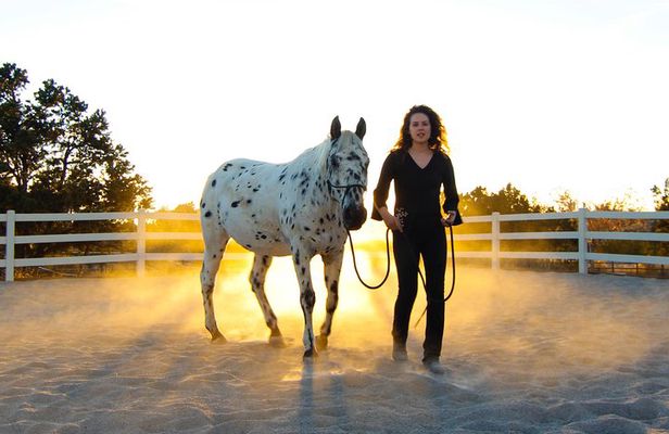 Retreat with Horses