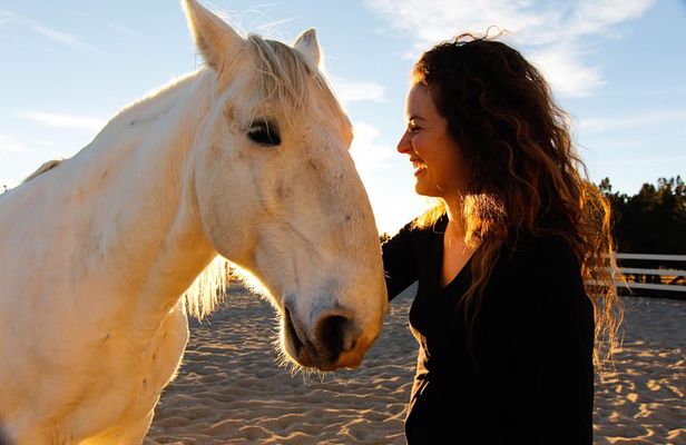 Retreat with Horses