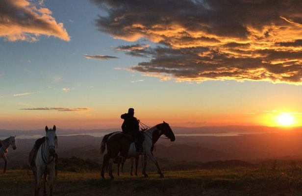 Monteverde Cloud Forest Horseback Riding