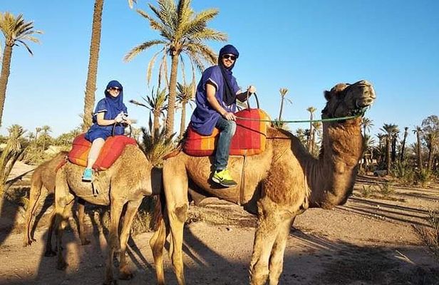 Overnight Luxury Desert Trip Form Fez To Fez