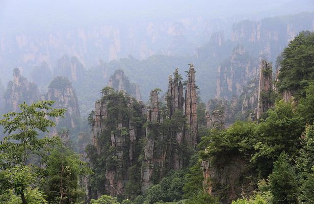 Glass Bridge,Yuanjiajie Avatar Mountain&Tianzi Mountain day tour