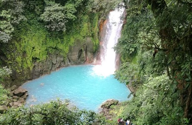 Rio Celeste Waterfall and Sloth watching Tour