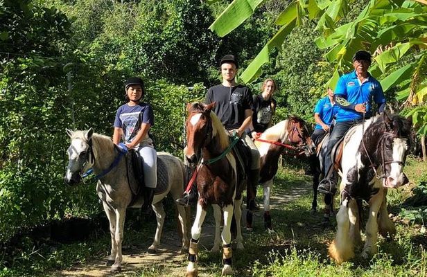Horseback Riding 1 hour trail