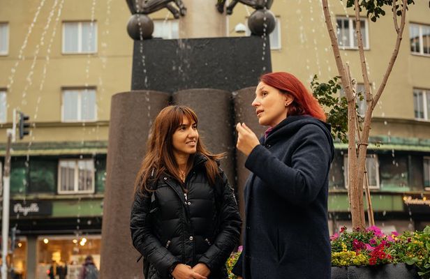 City Explorer: Malmo Private Day Trip