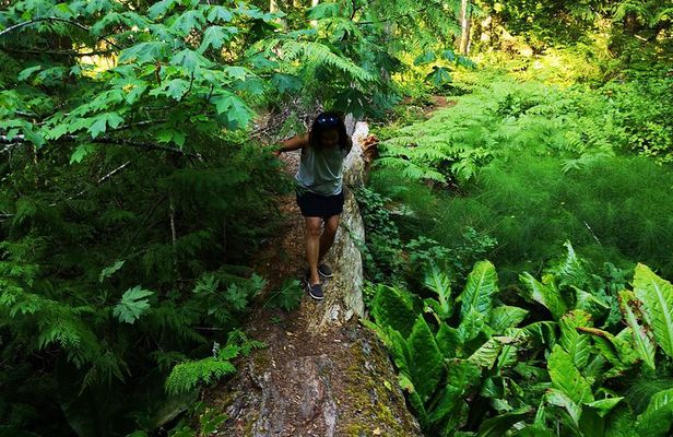 Private Guided Rainforest Hike in Victoria