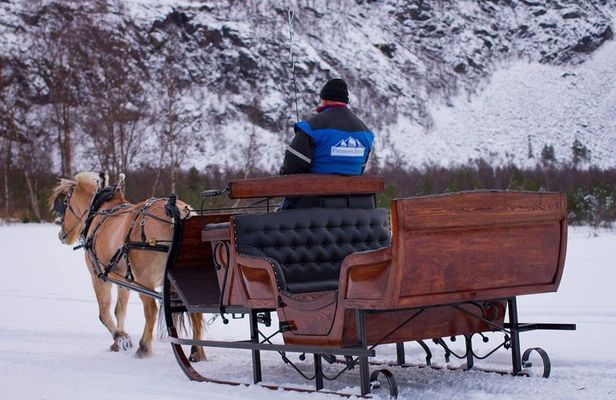 Sleigh or wagon ride in the arctic Country side