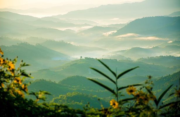 Chiang Rai, Golden Triangle and Long Neck Karen