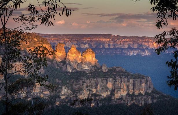 Private Blue Mountains Tour with Kangaroo and Koala Experience