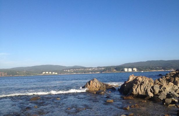 Tour around the Coast Towns in Tomé & Dichato