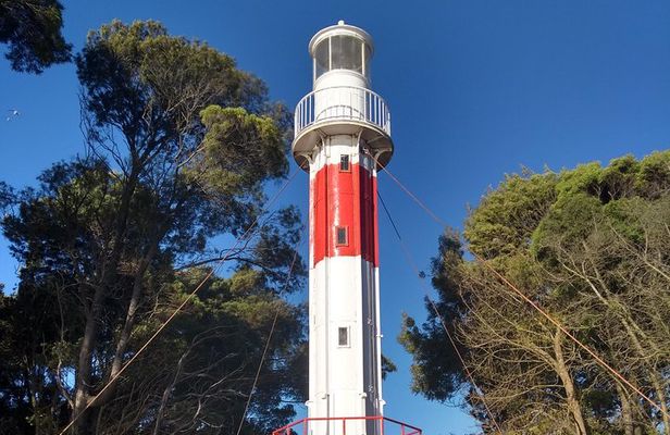 Tour around Coronel & Lota