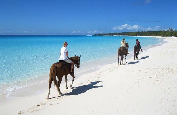 Beach Horseback Riding in Punta Cana( Free Photos Package)