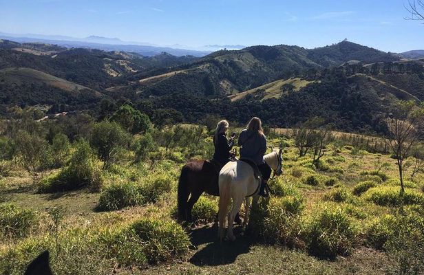 Exclusive Horse Experience with Pic-nic at Belvedere