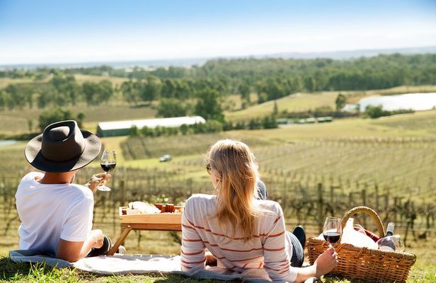Audrey Wilkinson Vineyard: Picnic with Wine Masterclass Tasting