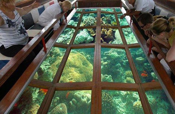 Glass Bottom Boat Excursion in Sharm El Sheikh