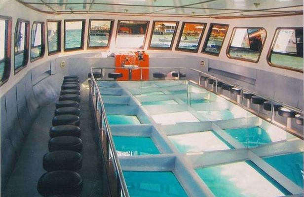 Glass Bottom Boat Excursion in Sharm El Sheikh