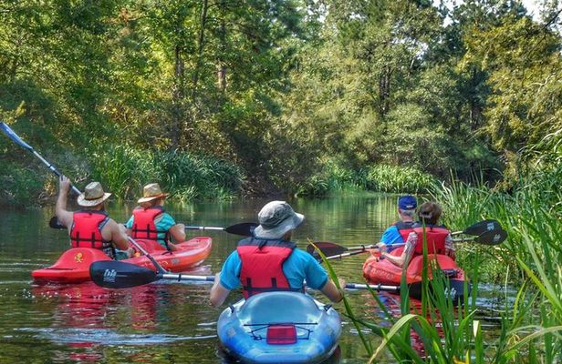 Kayak Swamp Tour with Transportation from New Orleans