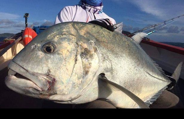 Fishing Trips. Popping, jigging, big game, live bait