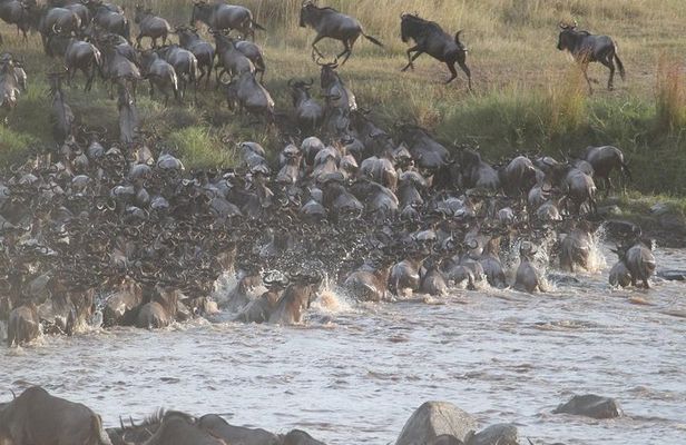 6 Days Wildebeest Migration Safari