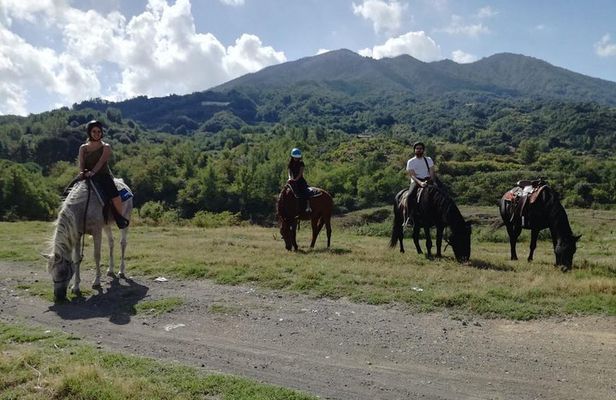 Horse Riding on Mount Vesuvius