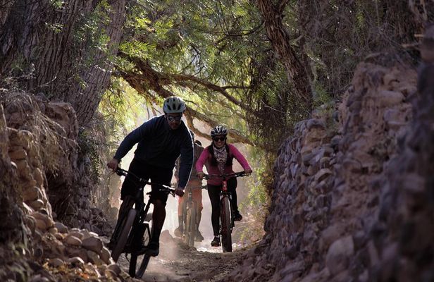 Mountain biking in the surroundings of Tilcara